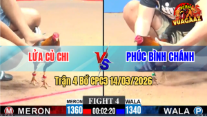 Trận 4 Bồ CPC3 14/3/2025 - Đỏ Lao Vào Như Tên Lửa Xanh Không Kịp Tránh Né Nên Gãy