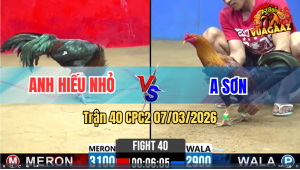 Trận 40 CPC2 7/3/2026 - 2 Con Đều trâu Gồng Phút 90 Bỏ Mặt Hòa
