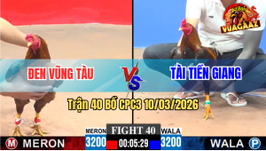 Trận 40 Bồ CPC3 10/3/2026 - Điều Đá Cây Lưng Đâm Khét Bỏ Chạy Bay Bồ