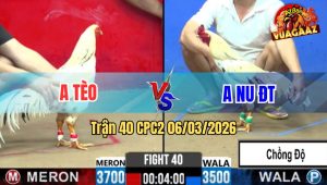 Trận 40 Bồ CPC2 6/3/2026 - Anh Nu Chơi Ngông Vẫn Về Bờ Thành Công