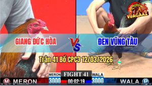 Trận 41 Bồ CPC3 12/3/2026 - Đỏ Nạp Siết Tốc Độ Đâm Xanh Gục Tại Chỗ