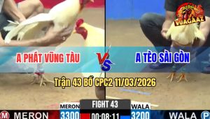 Trận 43 Bồ CPC2 11/3/2026 - Bướm Đá Nhiều Chân Buông Ra Úa Đá 1 Chân Tốc Chạy Bất Ngờ