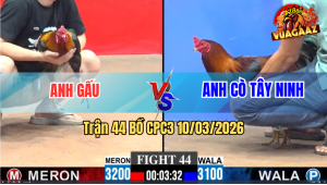 Trận 44 Bồ CPC3 10/3/2026 - Điều Đá Que Lấy Tiền Sắm Xe