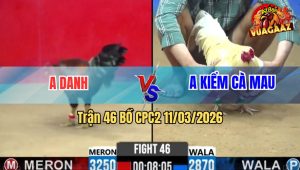 Trận 46 Bồ CPC2 11/3/2026 - Úa Chấp 4 Chấm Đá Đụng 1 Tay Nước Đâm Điều Xỉu Tại Ô