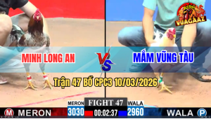 Trận 47 Bồ CPC3 10/3/2026 - 2 Con Quá Đâm Gồng Phút Cuối Hòa Đẹp Mắt