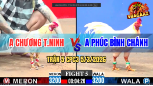 Trận 5 Bồ CPC3 5/3/2026 - Úa Đá Đâm Cây Nghiệt Ngã Bướm Xỉu Tại Chỗ
