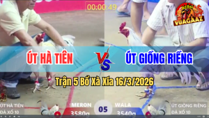 Trận 5 Bồ Xà Xía 16/3/2026 - Xanh Vô Đá Đúng 3 Cước Là Có Kết Quả