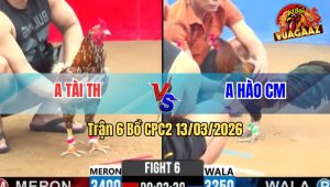 Trận 6 Bồ CPC2 13/3/2026 - Điều Đá Nạp Siết Buông Ra Bông Cứng Mình Xỉu