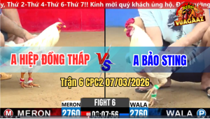 Trận 6 CPC 2 7/3/2026 - Bướm Cọp Idol Đá Canh Chặn Đâm Đỏ Xỉu Trên Tay