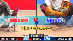 TRẬN 6 CPC3 03/3/2026 - Điều Đá 1 Cậy Đâm Khét Lọt Bỏ Chạy Bay Bồ