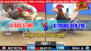 Trận 7 CPC 2 7/3/2026 - Cú Cọp Siết 1 Tay Nước Điều Xỉu Trong Chân