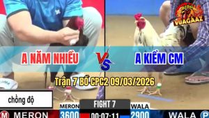 Trận 7 Bồ CPC2 9/3/2026 - Bướm Cọp Anh Kiểm Chấp 7 Chấm Hạ Đối Thủ Phút 90