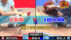 Trận 7 Bồ CPC3 3/3/2026 - Điều Đá 1 Cậy Đâm Khét Lọt Bỏ Chạy Bay Bồ