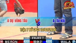 Trận 7 Bồ CPC3 12/3/2026 - Đỏ Chưa Thả Đá Ăn 7 Xanh Đá Đúng 1 Cây Đỏ Té