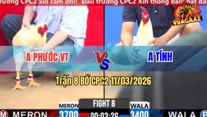 Trận 8 Bồ CPC2 11/3/2026 - Bướm Chấp Ngông Úa Đá Ói Chết Tại Vách Bồ