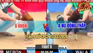 Trận 9 Bồ CPC2 11/3/2026 - Điều Đuôi Lao Chấp 2 Chấm Vẫn Về Nhanh Gọn