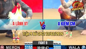 Trận 9 Bồ CPC2 13/3/2026 - Úa Nạp Mấy Chân Đâm Diều Gãy Dò Đáng Tiếc