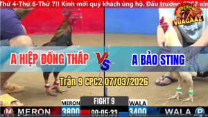 Trận 9 CPC 2 7/3/2026 - Bướm Chấp Ngông Buông Ra Điều Đá Hư Hình