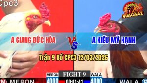 Trận 9 Bồ CPC3 12/3/2026 - Bướm Đấm Điều Gãy Chân Điều Đá Lại Bướm Chết