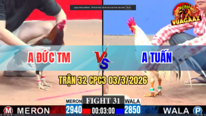 Trận 32 CPC3 03/3/2026 - Úa Bươi Chà 1 Tay Nước Đièu Xỉu Trên Tay