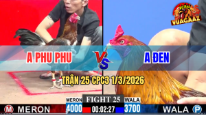 Trận 25 Bồ CPC3 1/3/2026 - Đỏ Phu Phu Được Dư 3 Chấm Và Cái Kết Té Ngửa