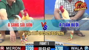 Trận 1 Bồ CPC2 29/3/2026 - Uá Đè Bạc Cho Cố Buông Ra Khét Đá Bỏ Ô