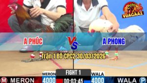 Trận 1 Bồ CPC2 30/3/2026 - Bướm Nhập Vô Đá Mấy Chân Đâm Điều Gãy Dò Thua Nhanh Gọn