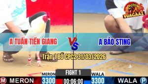 Trận 1 Bồ CPC2 31/3/2026 - Bảo Sting Mở Bát Gặp Ngay Con Cọp Tiễn Idol Lên Đường