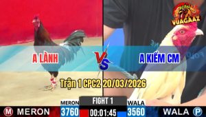 Tran 1 CPC2 20032026 Buom Anh Kiem Chap 2 Cham Van Ve Bo Nhanh Gon 2