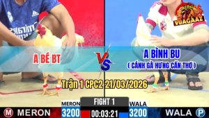 Tran 1 CPC2 21032026 Xanh Da Cay Can Nang Do Rinh Ra Nhanh Gon 2 1