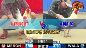 Trận 1 CPC2 23/03/2026 - Bướm Đá Cây Lứng Úa Nằm Hết