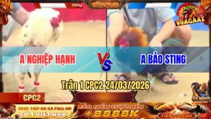 Trận 1 CPC2 24/03/2026 - Điều Chấp Ngông Bướm Đá Nhảy Xuống Sông