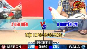 Trận 1 CPC3 22/03/2026 - Cọp Cà Mau Canh Chặn Đá Cây Quá Nghiệt Kéo Anh Em Về Bờ