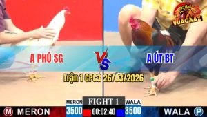 Trận 1 CPC3 26/03/2026 - Bướm Anh Phú Đâm Như Phim Hạ Xanh Phút 90