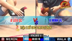 Trận 1 CPC3 28/03/2026 - Đỏ Đá Đâm Cựa Quá Khủng Xanh Lọt Gió Té Hết Đứng