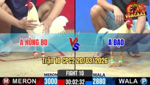 Tran 10 CPC2 20032026 Do Canh Chan Da Cay Nghiet Dam Xanh Lat Xe 2