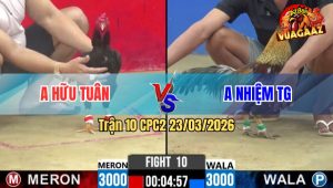 Trận 10 CPC2 23/03/2026 - Xám Đá Cây Lọt Điều Chạy Bay Bồ