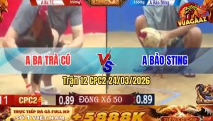 Trận 12 Bồ CPC2 24/3/2026 - Điều Cúp 50 Gặp Ngay Bướm Cọp Idol Đá Cho Banh Xác ( hủy )