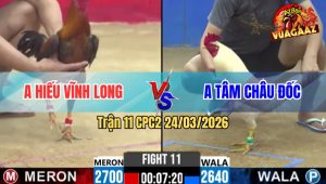 Trận 11 Bồ CPC2 24/3/2026 - Úa Đá Nhanh Nhẹn Đâm Que Nghệ Cây Té Cắm Đầu