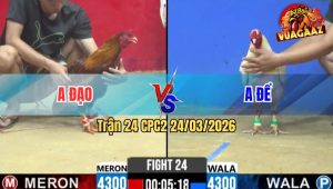 Trận 24 Bồ CPC2 24/3/2026 - Khét Canh Chặn Đâm Đỏ Cây Lật Xe Rinh Ra