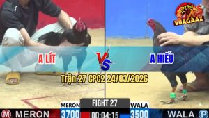 Trận 27 Bồ CPC2 24/3/2026 - Đỏ Đâm Như Giang Hồ Siết Xanh Xỉu Tại Chỗ Bưng Ra