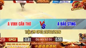 Trận 29 Bồ CPC2 24/3/2026 - Khét Rất Trâu Nhưng Mà Úa Rất Tiếc Idol Kéo Lúa Đầy Bồ