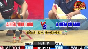 Trận 14 Bồ CPC2 24/3/2026 - Úa Chân Xanh Đá Lanh Gà Điều Chạy Bung Bồ