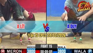 Trận 15 Bồ CPC2 24/3/2026 - Xanh Đâm Quá Đâm Điều Nằm Liệt Bưng Ra