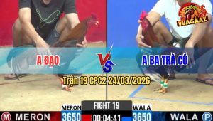 Trận 19 Bồ CPC2 24/3/2026 - Điều Xanh Mẻ Hiệu Quá Trâu Đá Đỏ Xì Phút 90