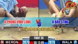 Trận 20 Bồ CPC2 24/3/2026 - Úa Cụt Ngón Idol Ăn Mười Mấy Cái Nay Trả Độ Khi Gặp Anh Nu