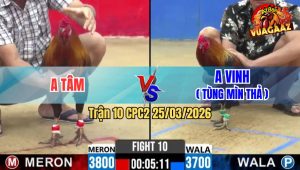 Trận 10 CPC2 25/03/2026 - Gà Xanh Đá Bo Lớn Tới Phút 90 Hạ Đỏ Về Sau