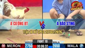 Trận 10 CPC2 27/03/2026 - Úa Nhập Vô Đá 1 Cặp Chuối Idol Té Hết Cứu