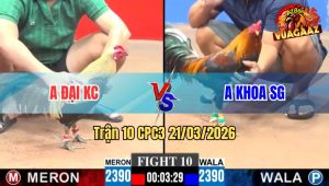 Trận 10 CPC3 21/03/2026 - Điều Toàn Đâm Đầu Cần Chuối Sau Vài Chân Đã Bỏ Chạy
