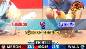 Trận 10 CPC3 24/03/2026 - Khét Sữa Giao Nạp Qua Lại Bướm Giãy Đành Đạch